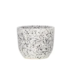 Kubek Aoomi Mess Mug 125 ML