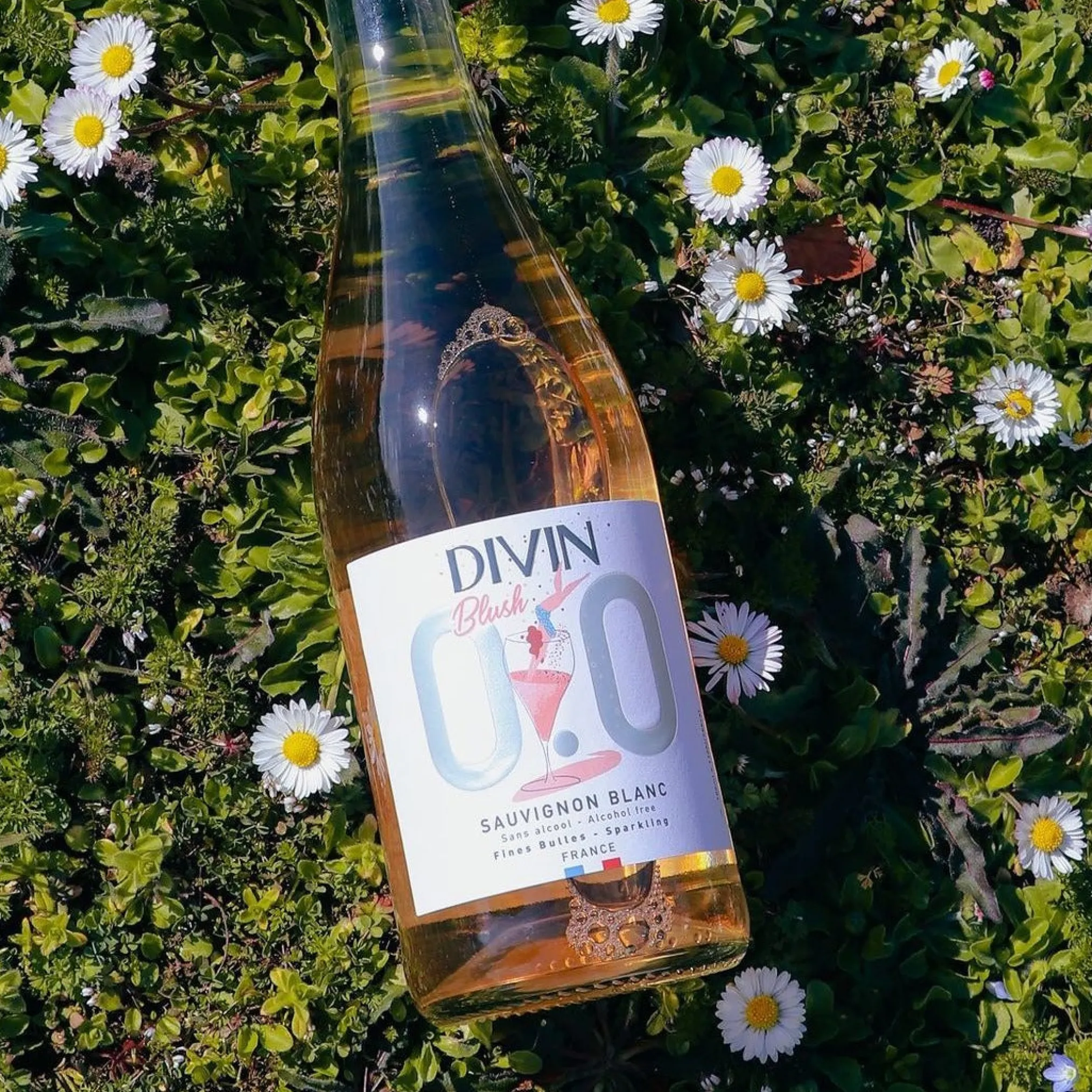 Wino bezalkoholowe Divin Sauvignon Blanc 0% Sparkling Blush Fournier